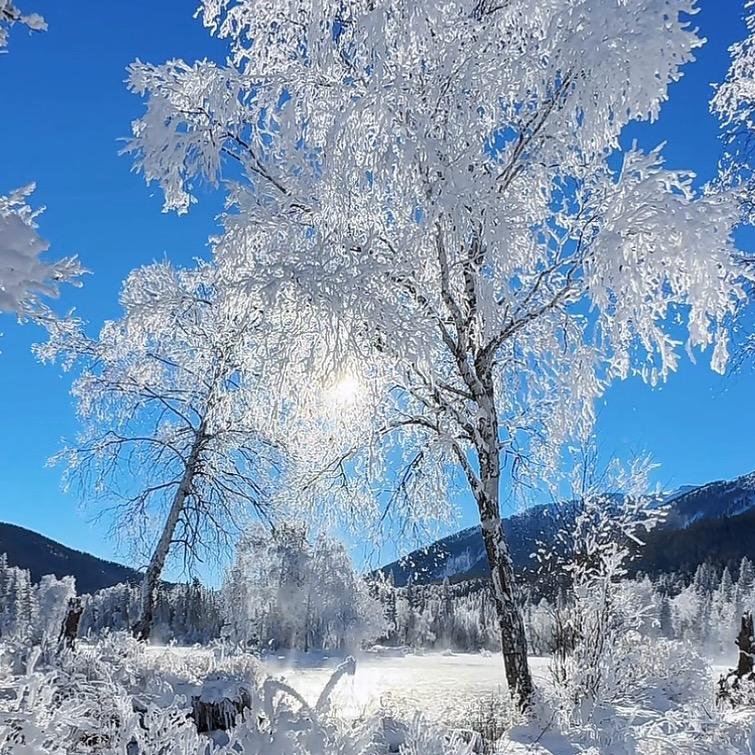 平安喜乐🍑🍉🥕