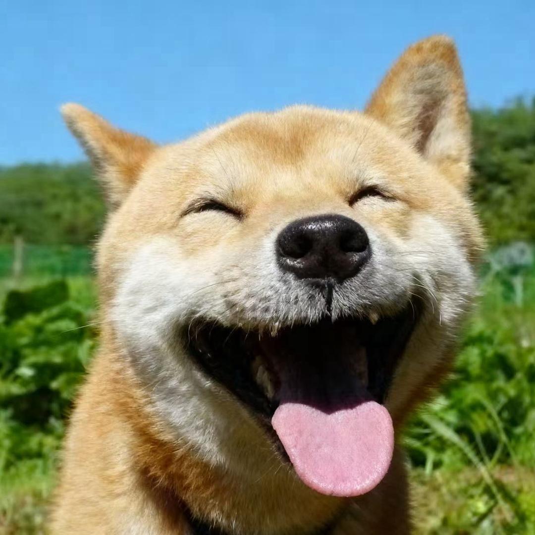 Rust阳哥【失控进化】