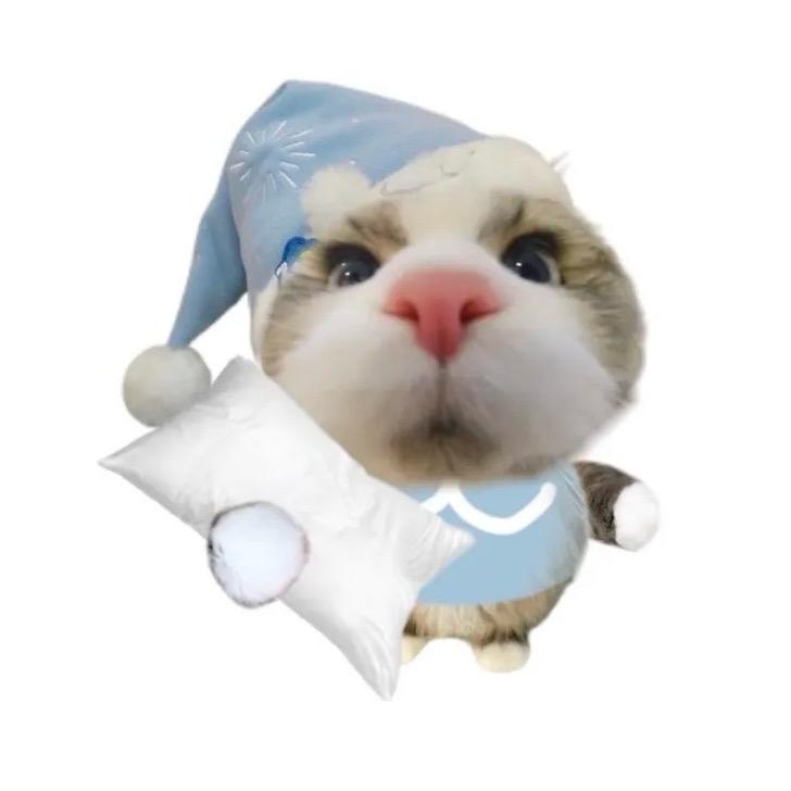 盐盐粥