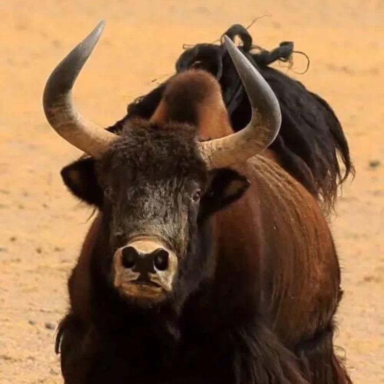 ㊙️ཧོར་🅰️四郎