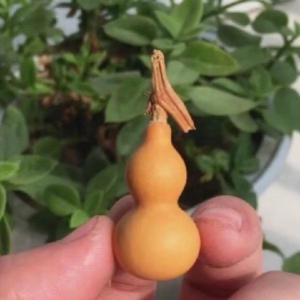 ༄༊࿆大道至简ཽ༤࿐