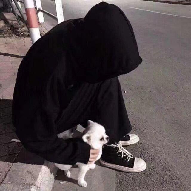 十一