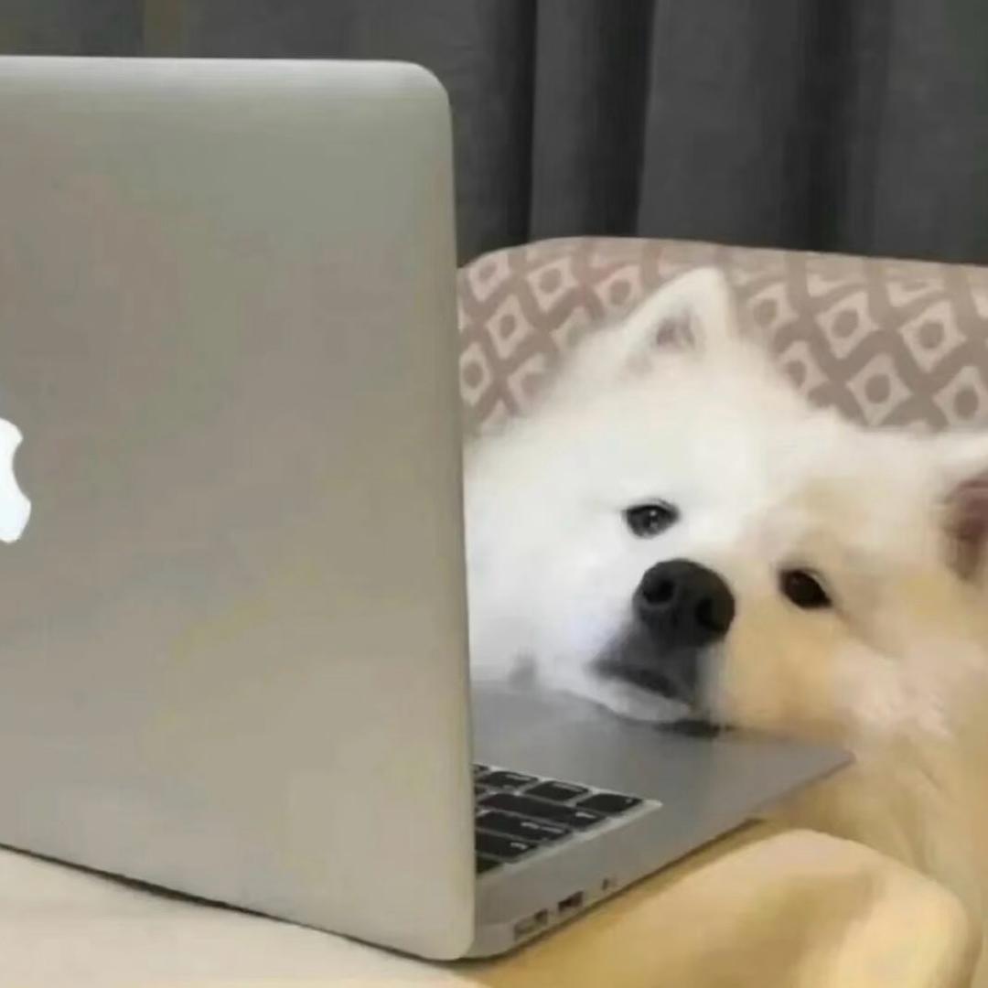 小᳐呆᳐ ੭ﾞ