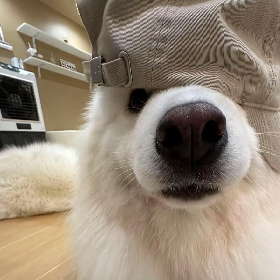 阿咩