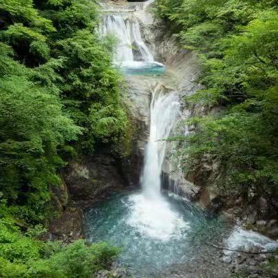 想念