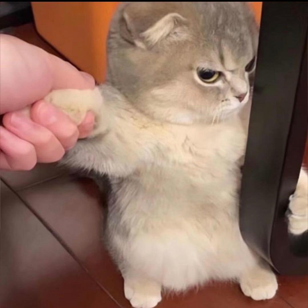 是白白啊¹⁰⁵