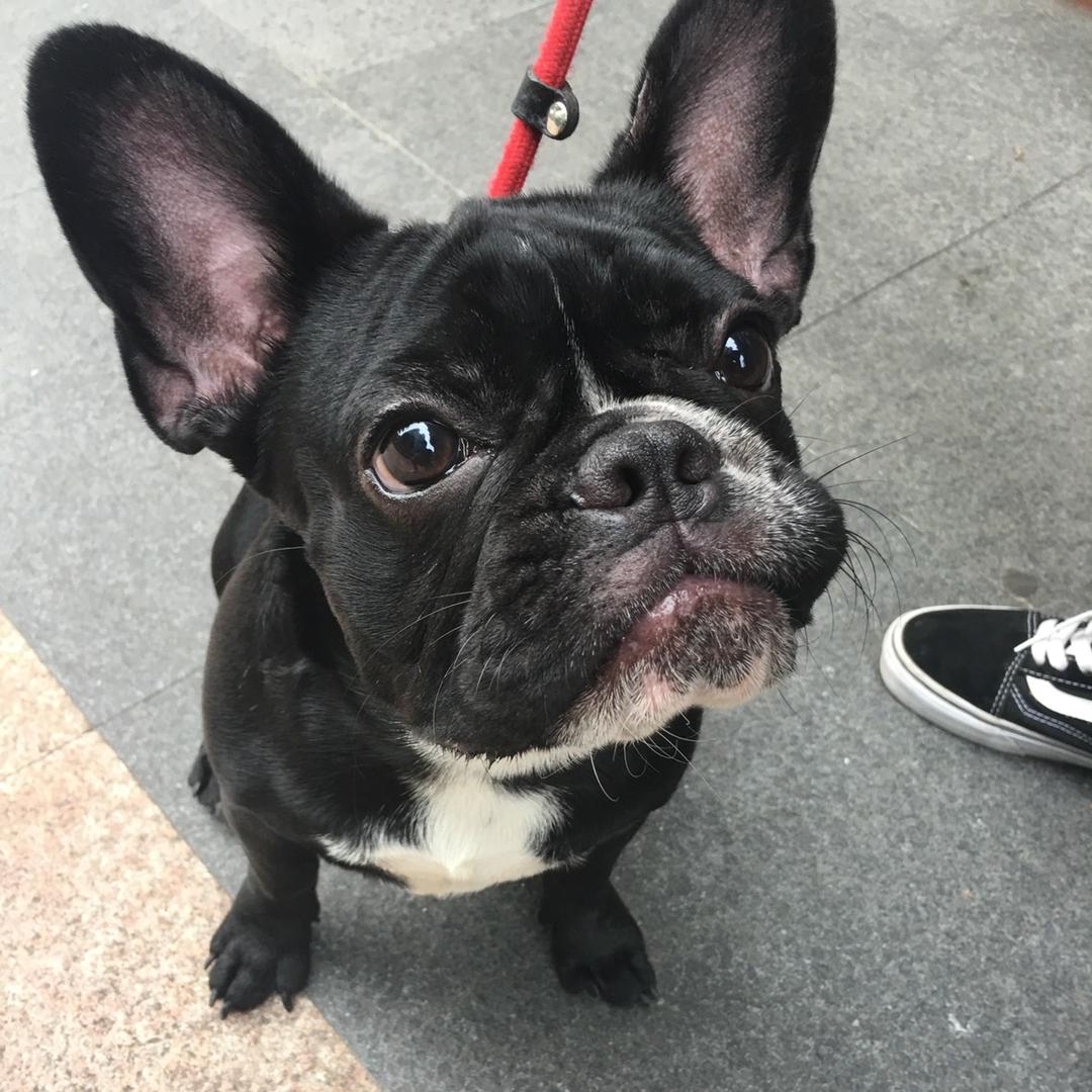 光谷小飞机🛩️