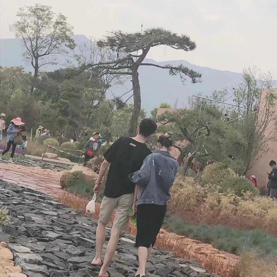 妻管英盯着碳头俊