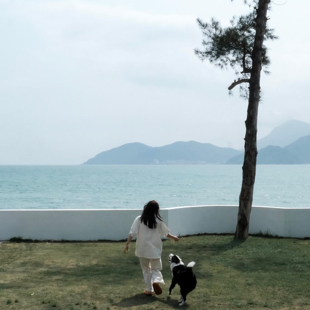 芝麻一点也不憨