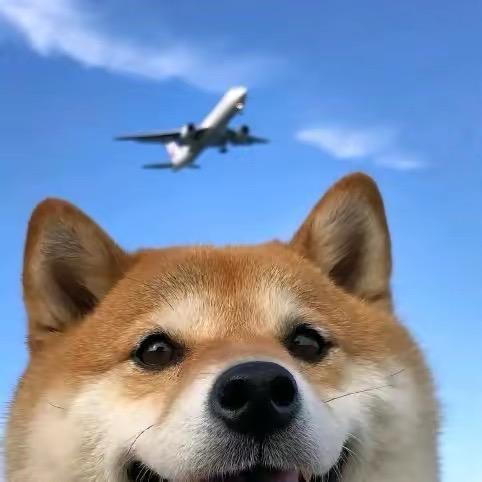zh_