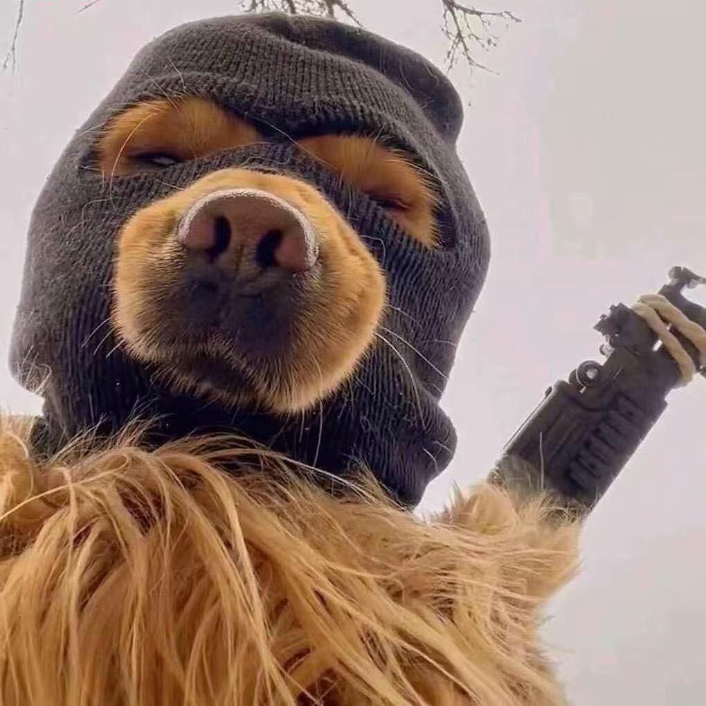 一万六千亩玫瑰