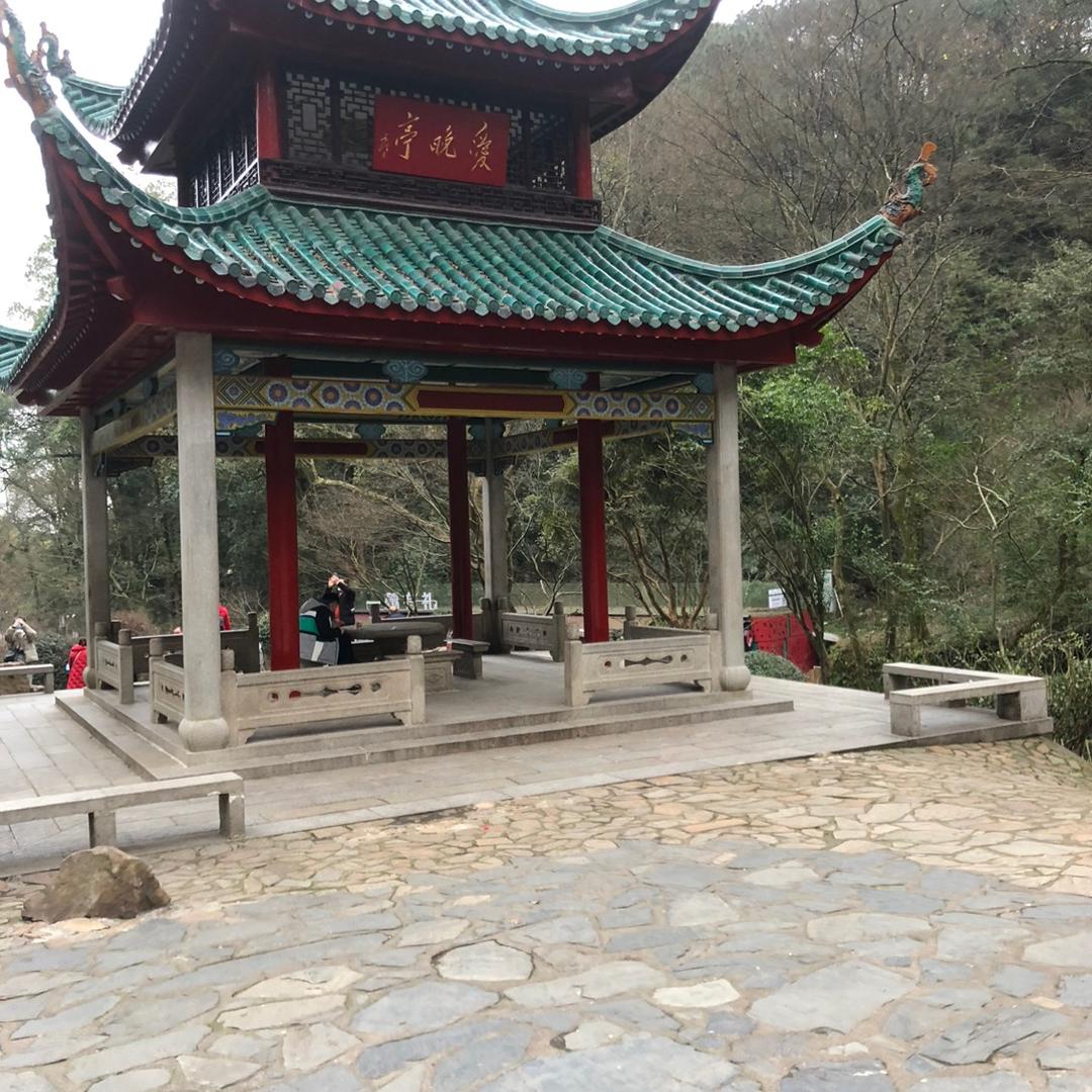 金菲