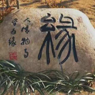 努力变强