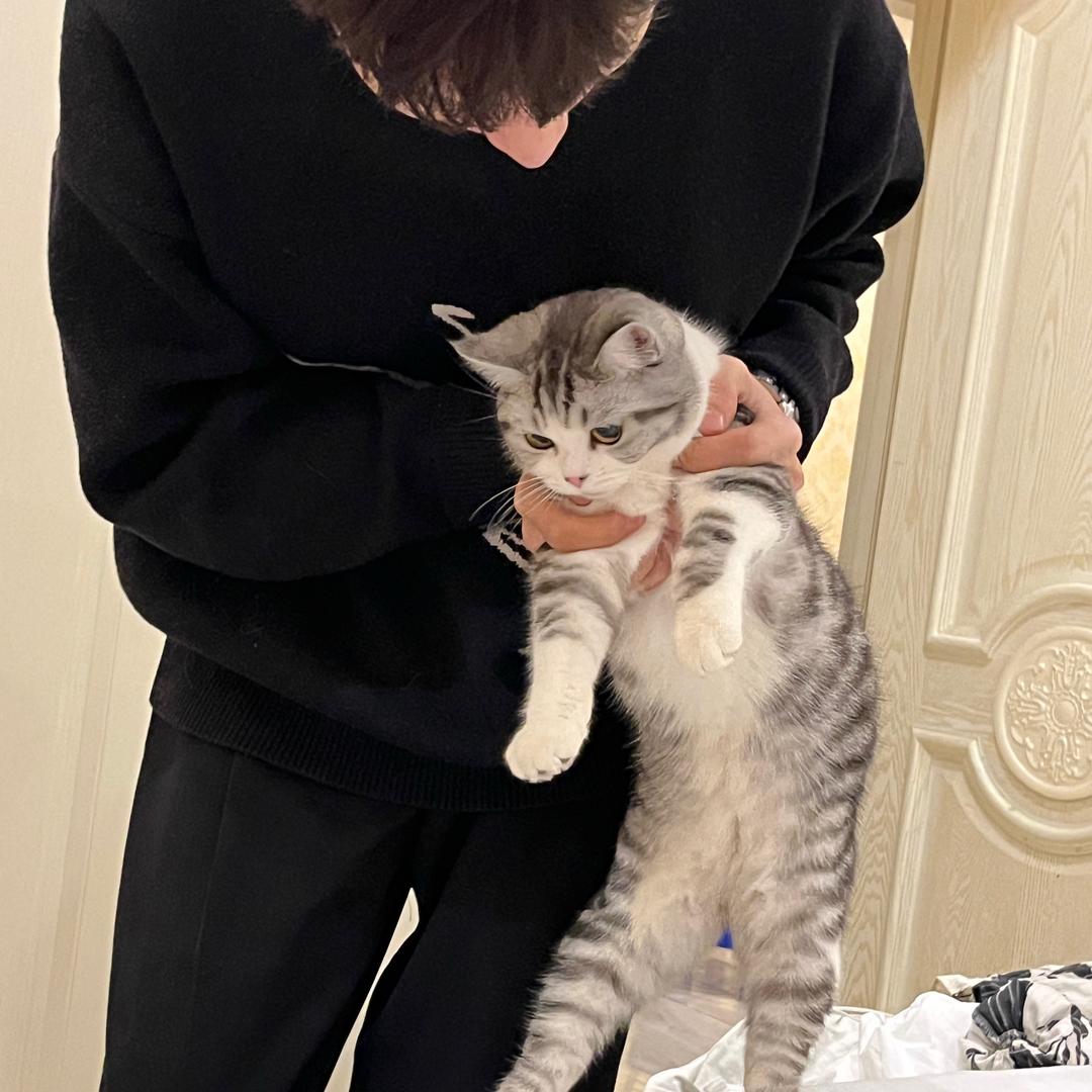 小龙🎱台球器材