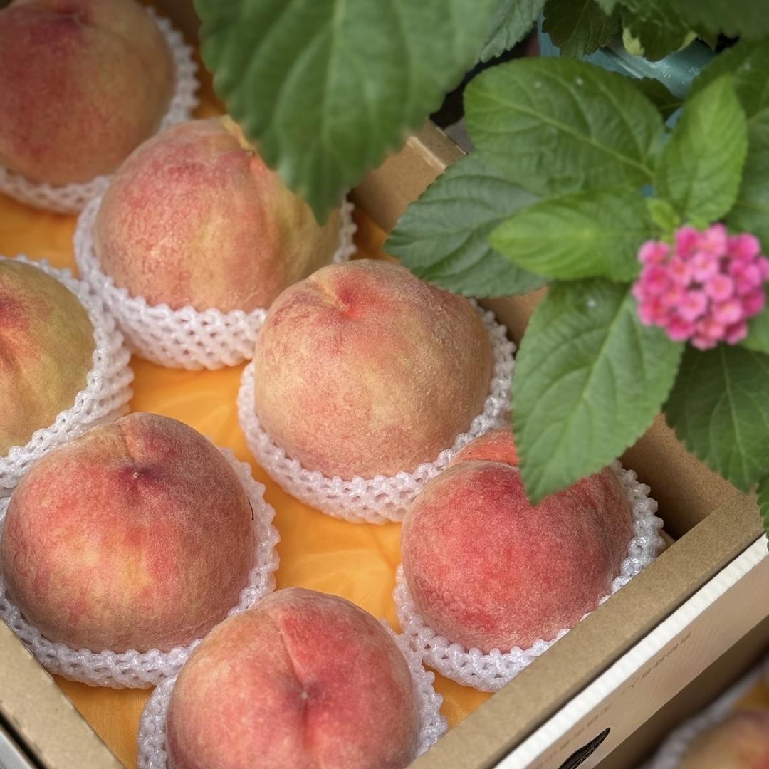 上海南汇侠姐品质水果