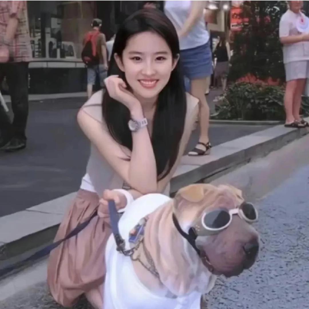 昭昭