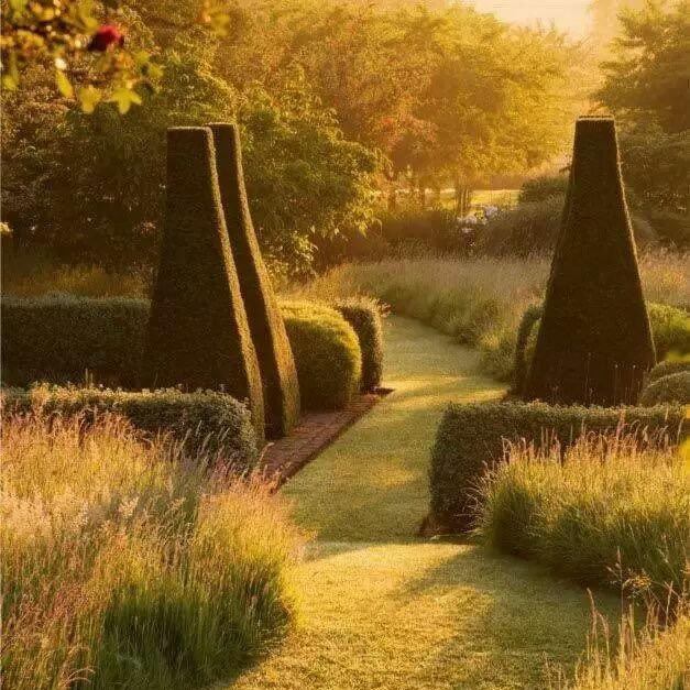 🌺落花🌷无痕🥀