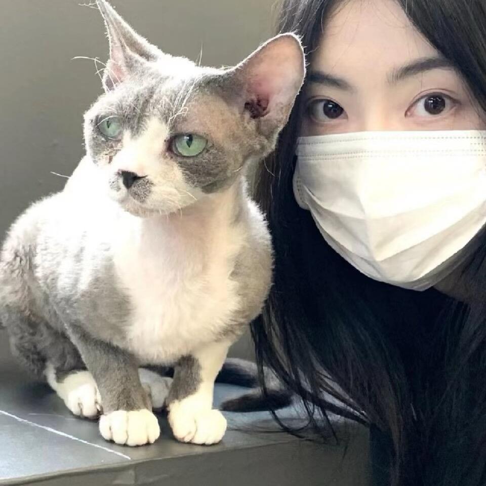 哈哈哈哈哈哈
