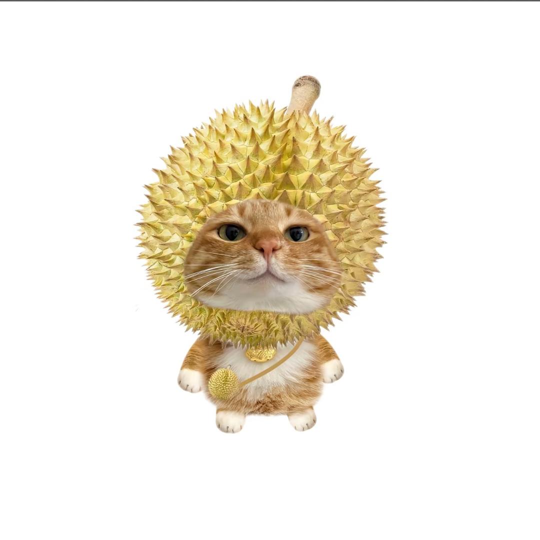 lsuh.
