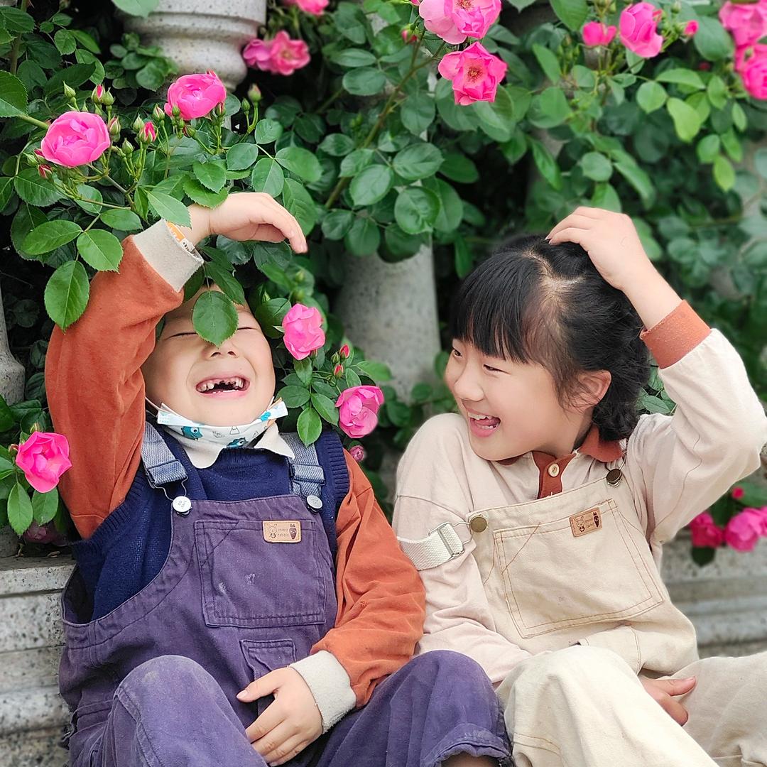 花飞叶落🌸