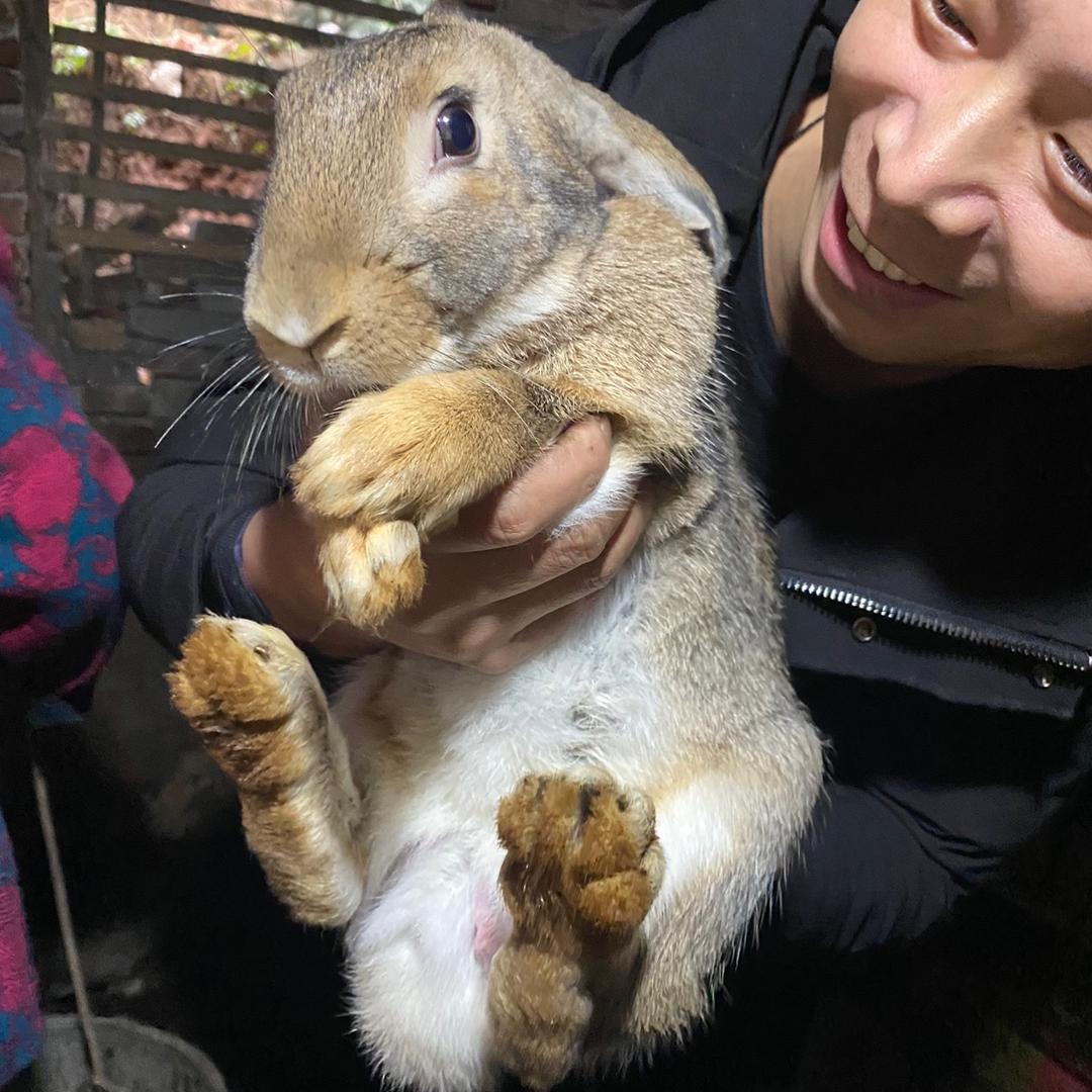 金萍乡村养殖⁵⁸⁸