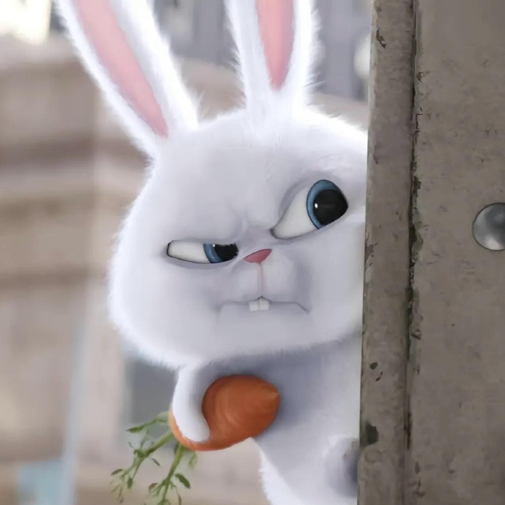 流氓兔🐰