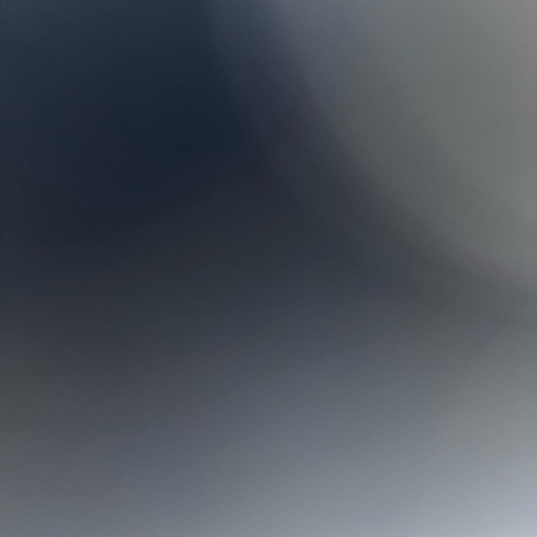 小椰子。