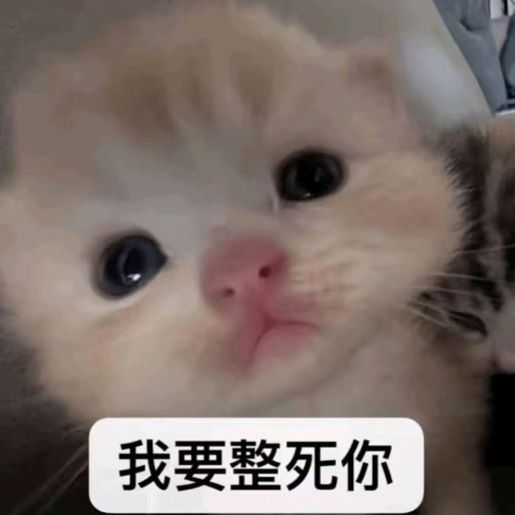 偽化貓