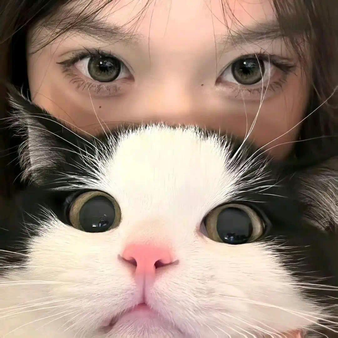 鱼书