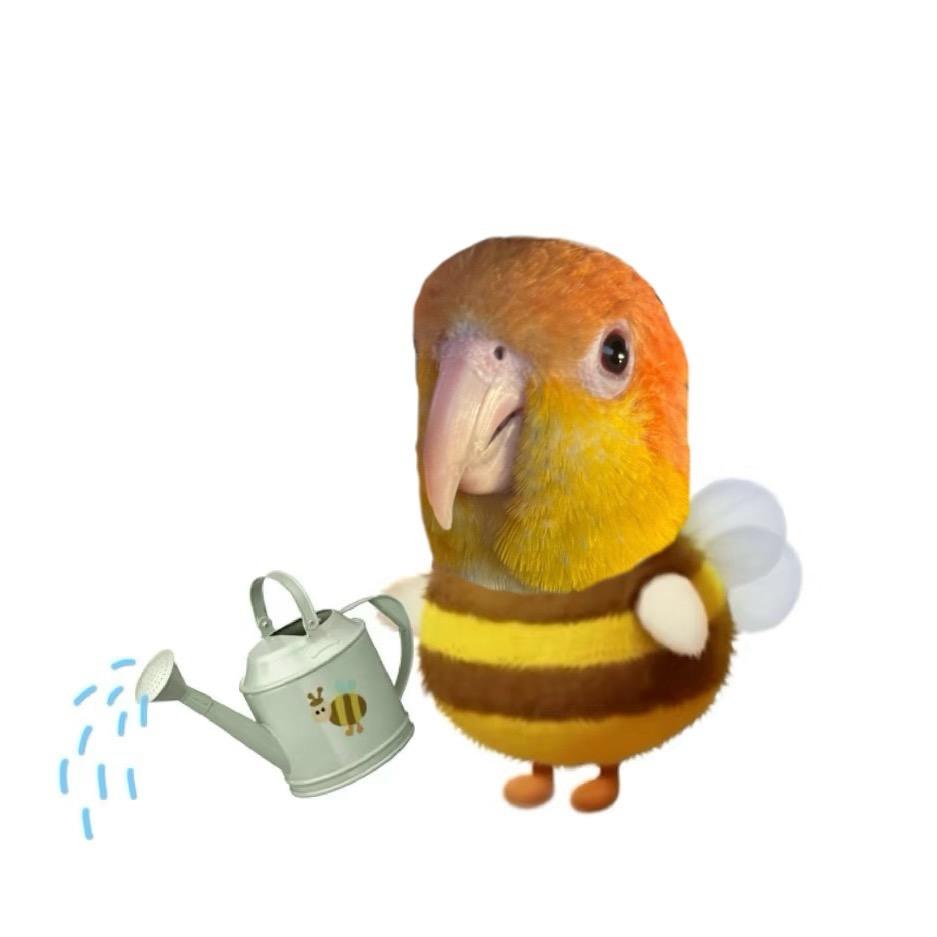 冷暴力过敏