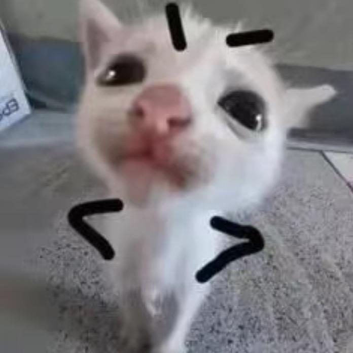 y7