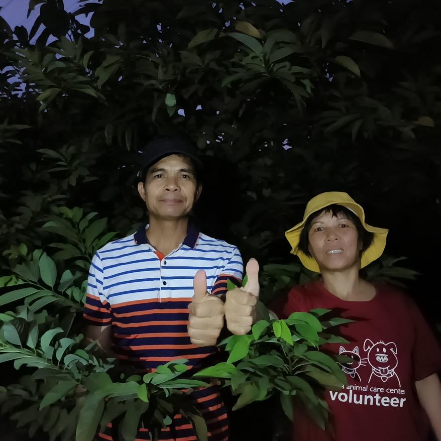 森哥美姐的果园