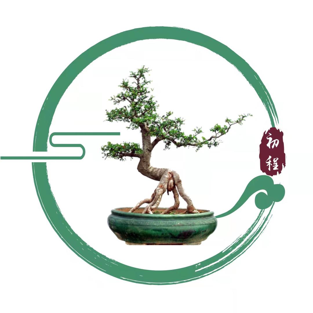 初程盆景园