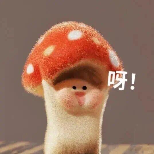 Kio🌱