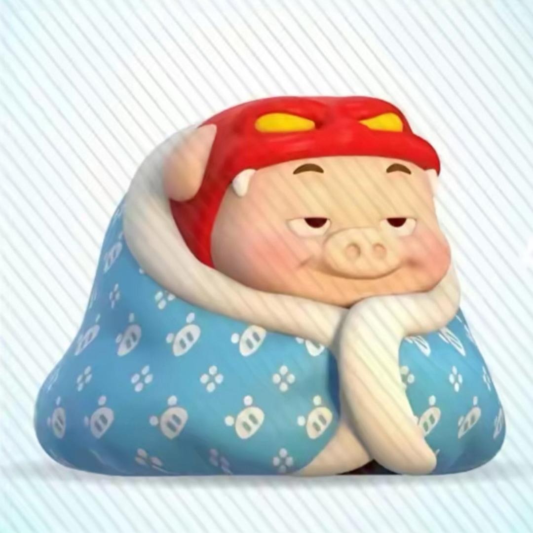 裹着被子的猪🐷