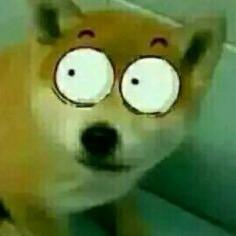 芜芜芜芜芜芜芜芜