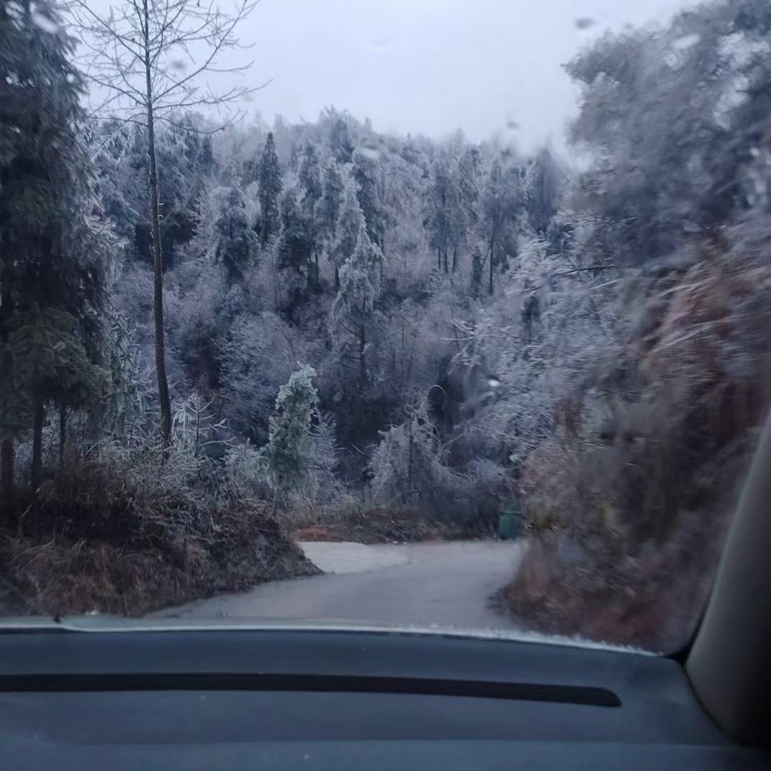 风云F