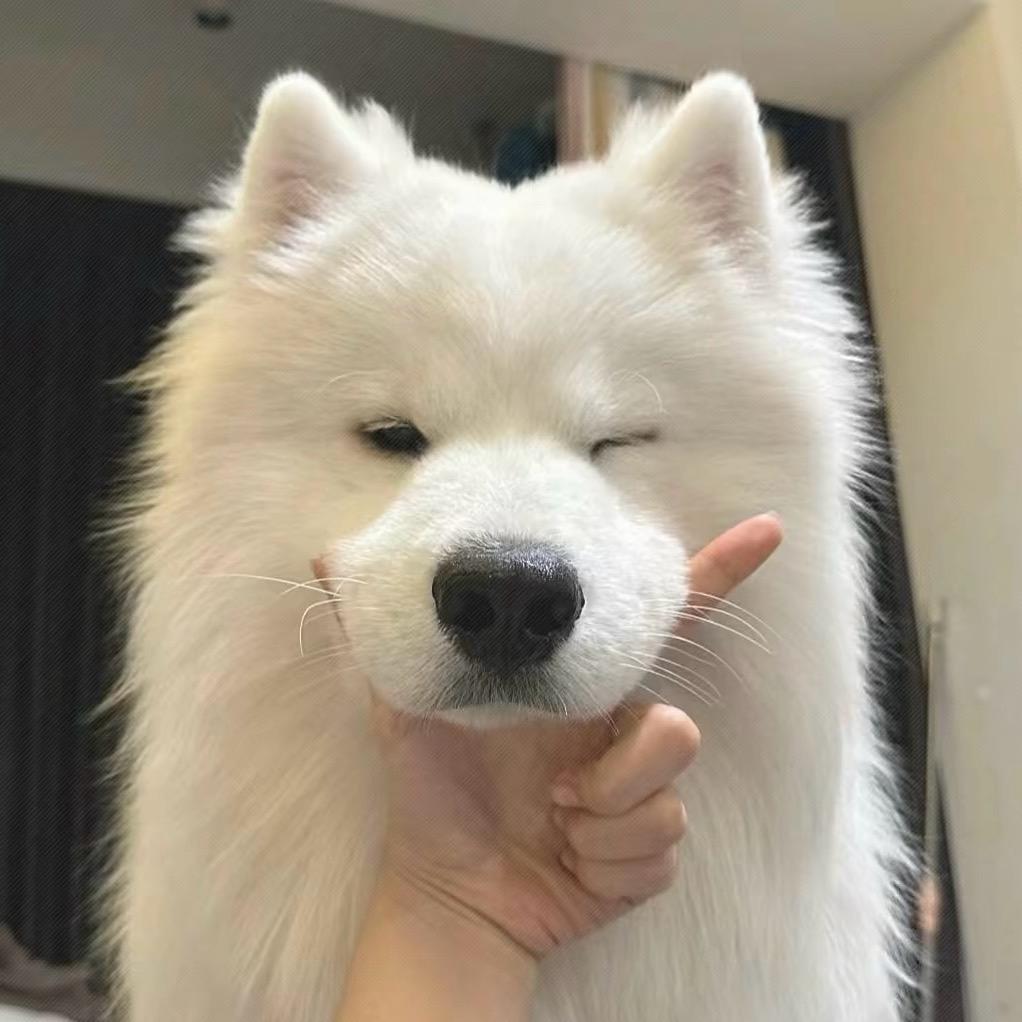 小伟游戏厅（烽火帝国2）