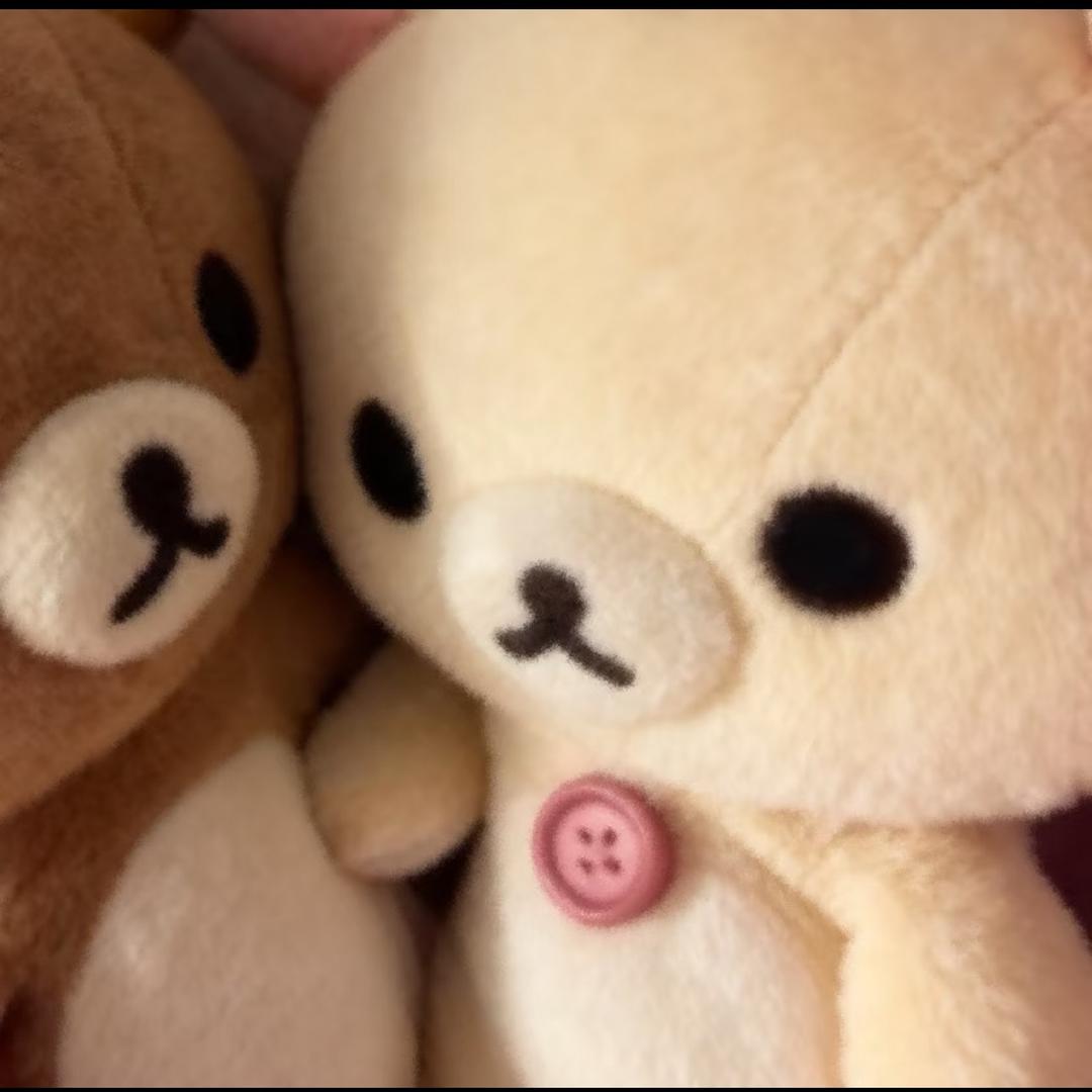 焦虑的棕色被子390309