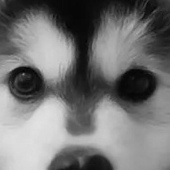 111