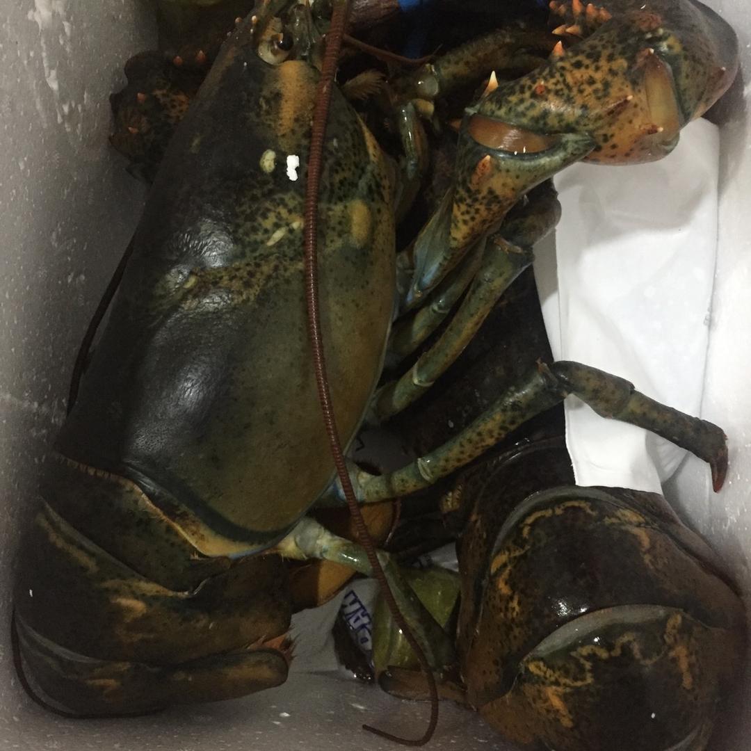 家常美食做法
