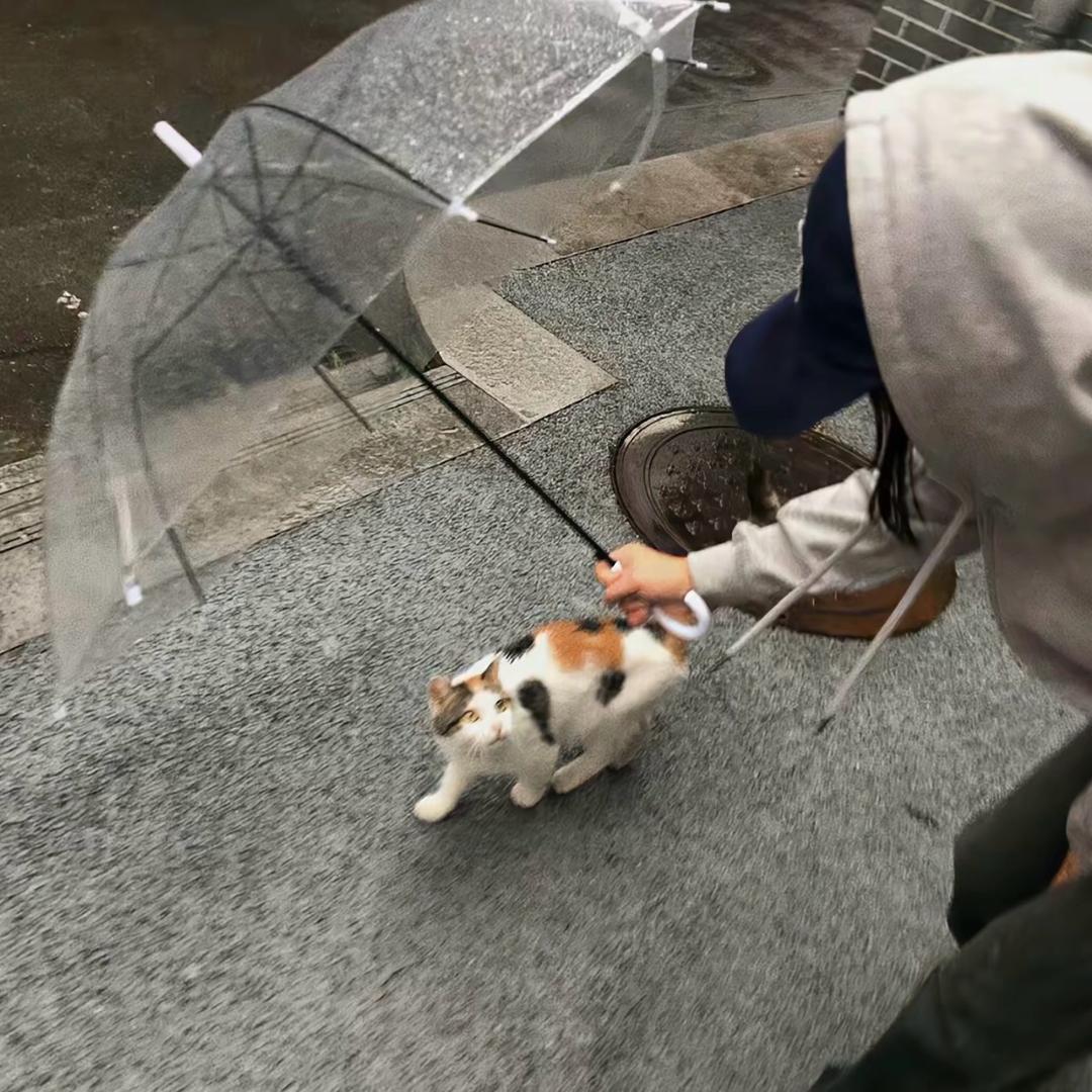 今天好天气☔️