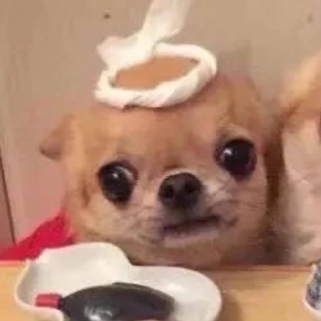 马浩