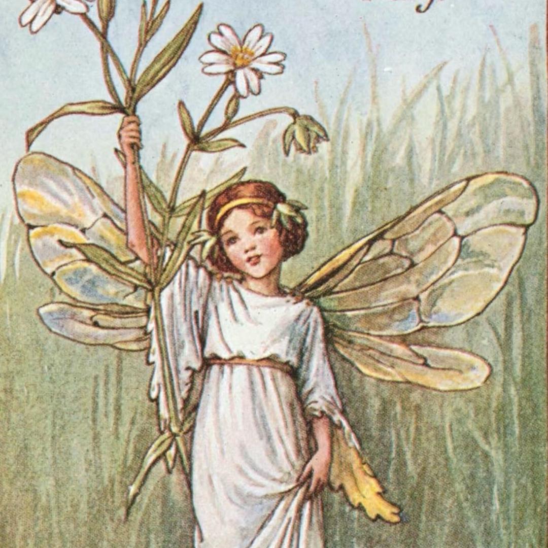 颂颂的幻想密林