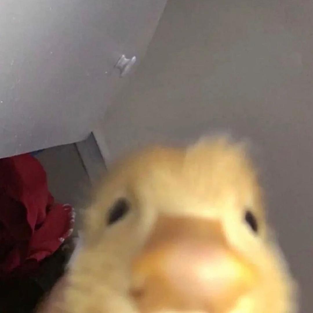 蜜汁鸡屁股