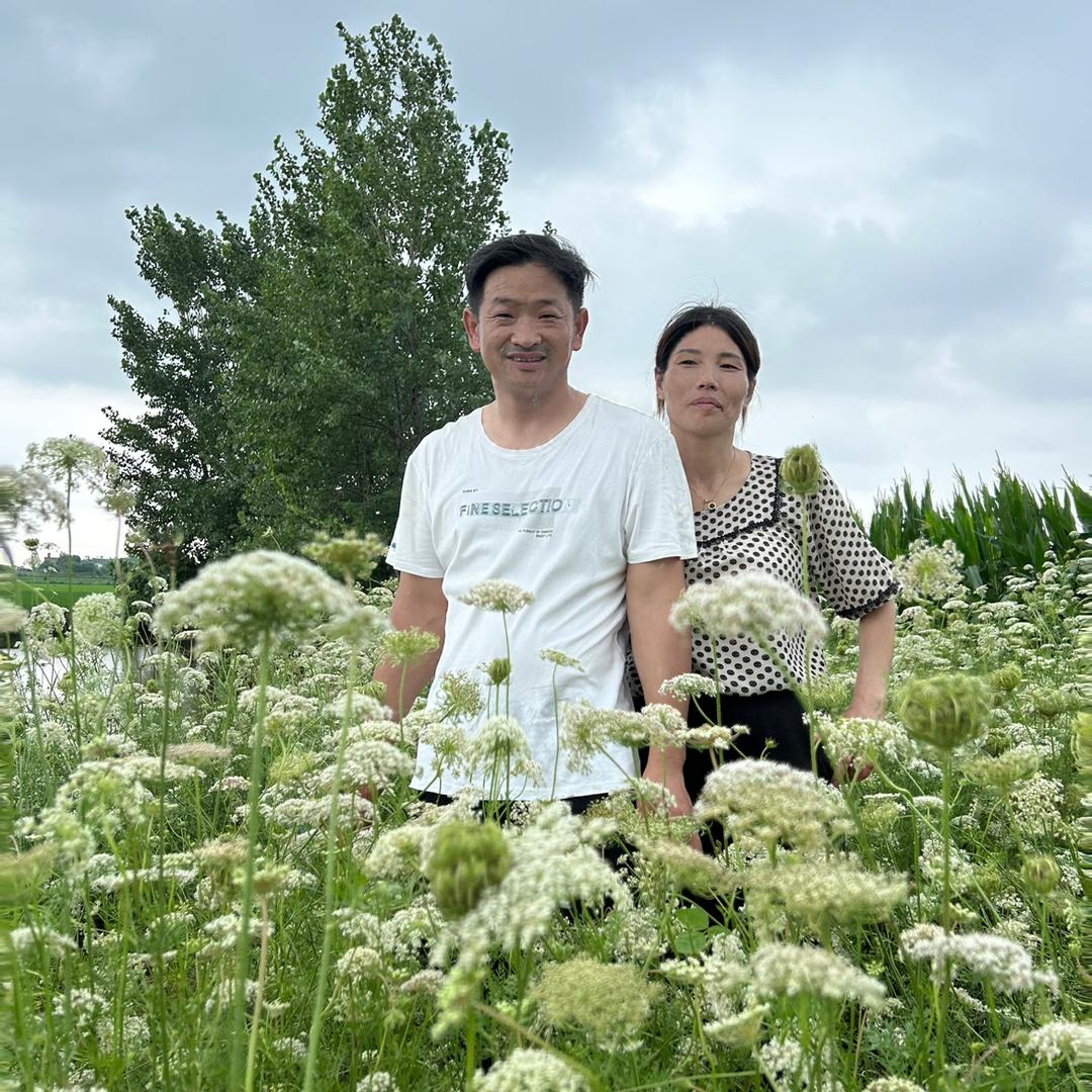 孝霞和大顺
