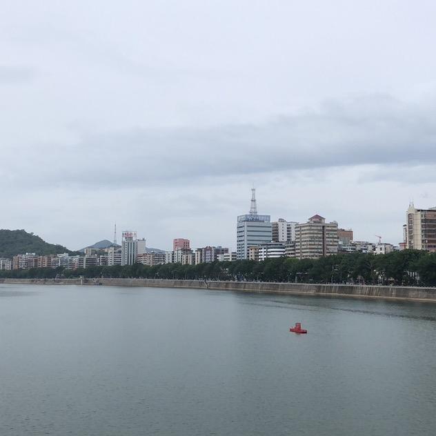 丛林