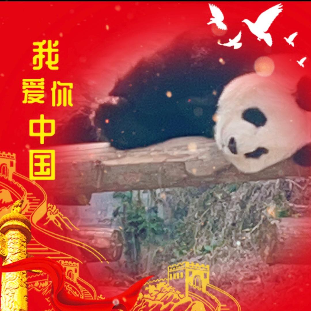 平凡之路