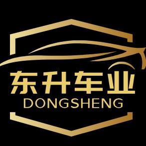 镇江东升二手车