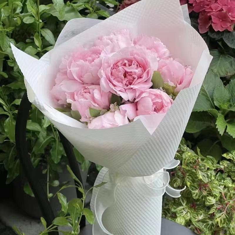 菏泽古秦牡丹芍药批发种植基地